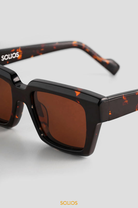 Kính SOLIOS PALM - Tortoise