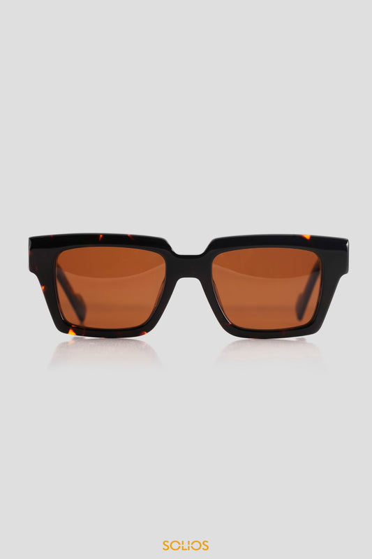 Kính SOLIOS PALM - Tortoise